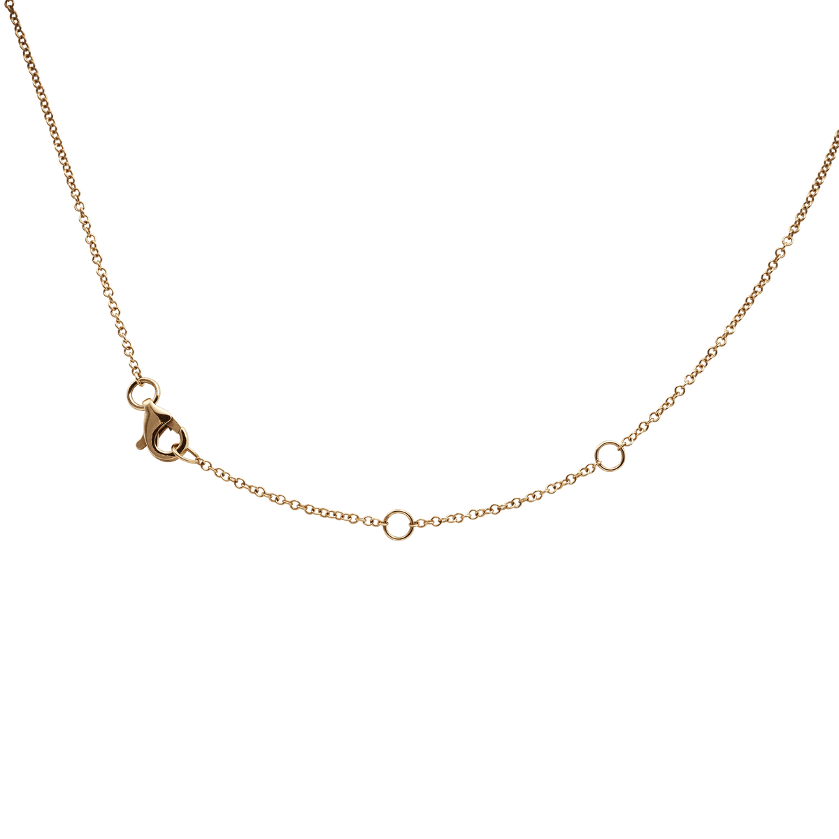 Daily Horoscope Diamond Locket Necklace Aquarius