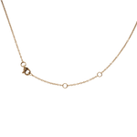 Daily Horoscope Diamond Necklace Aquarius