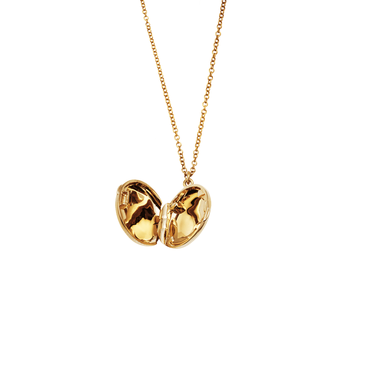 Daily Horoscope Diamond Locket Necklace Aquarius