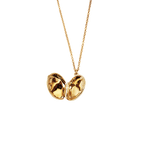 Daily Horoscope Diamond Locket Necklace Aquarius